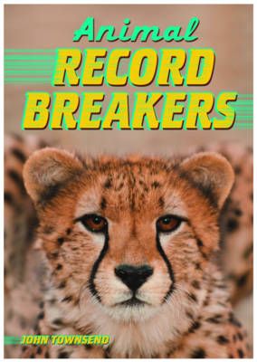 Animal Record Breakers Badger Learning