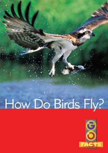 How Do Birds Fly? (Go Facts Level 4) Badger Learning