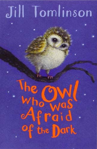 The Owl Who Was Afraid of the Dark - Pack of 6 Badger Learning