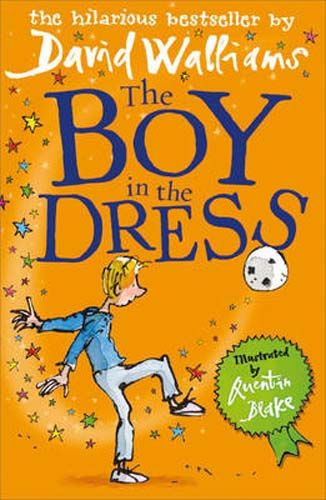 The Boy in the Dress - Pack of 6 Badger Learning