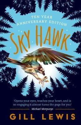 Sky Hawk - Pack of 6 Badger Learning