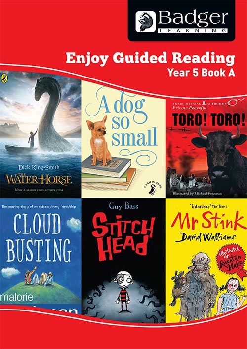 Enjoy Guided Reading Year 5 Book A Teacher Book & CD Badger Learning
