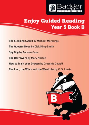 Enjoy Guided Reading Year 5 Book B Teacher Book Badger Learning