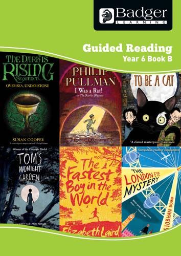Enjoy Guided Reading Year 6 Book B Teacher Book & CD Badger Learning