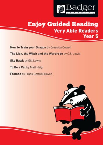 Enjoy Guided Reading Year 5 Very Able Readers Teacher Book Badger Learning