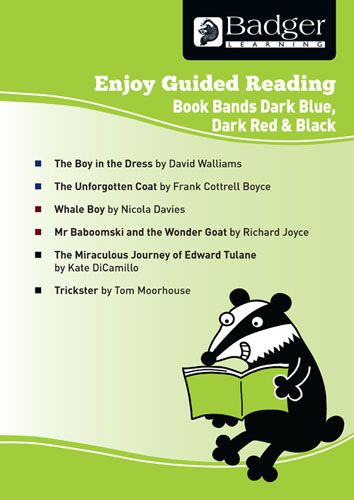 Enjoy Guided Reading KS2 Book Bands: Year 6 Dark Blue, Dark Red & Black Teacher Book Badger Learning