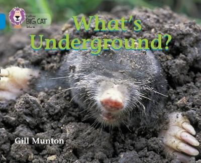 What's Underground: Band 04/Blue (Collins Big Cat) Badger Learning