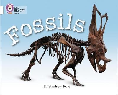 Fossils: Band 10/White Badger Learning