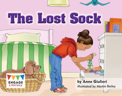 The Lost Sock Badger Learning