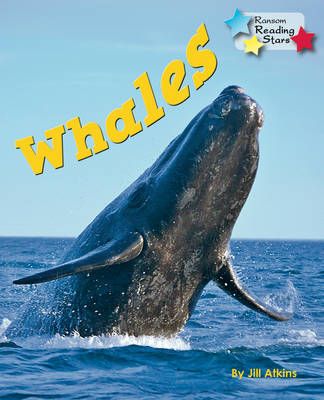 Whales Badger Learning