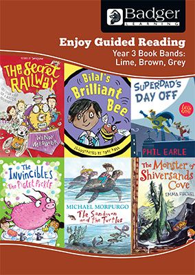 Enjoy Guided Reading KS2 Book Bands: Year 3 Lime, Brown & Grey Teacher Book & CD Badger Learning
