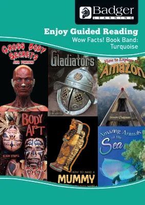 Enjoy Guided Reading Non-fiction for KS2 (at Turquoise level) Teacher Book Badger Learning