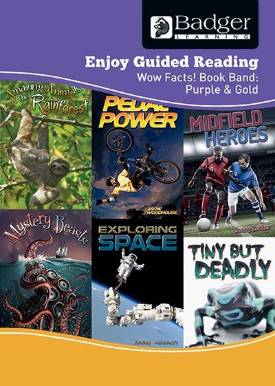 Enjoy Guided Reading Non-Fiction Purple and Gold Level Teacher Book + CD Badger Learning