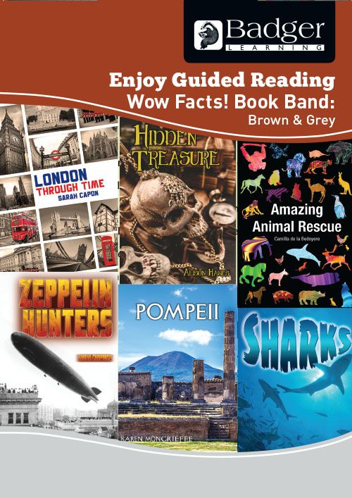 Enjoy Guided Reading Non-fiction for KS2 Brown & Grey Teacher Book Badger Learning