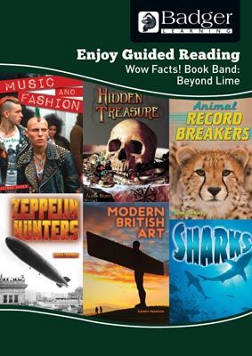 Enjoy Guided Reading Non-fiction for KS2 (at Beyond Lime Level) Teacher Book + CD Badger Learning