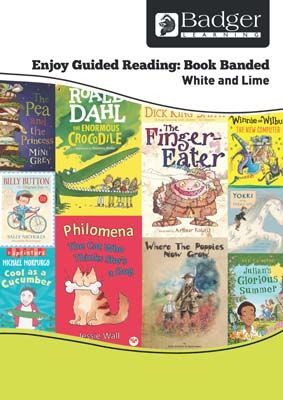 Enjoy Guided Reading Book Band - White and Lime Teacher Book & CD Badger Learning