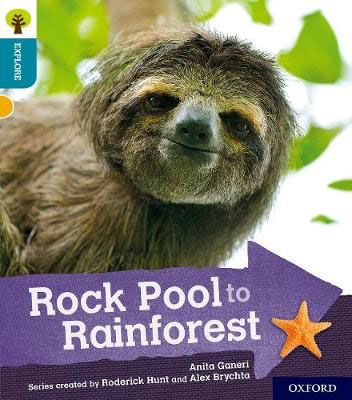 Rock Pool to Rainforest Badger Learning