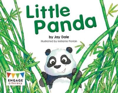 Little Panda Badger Learning