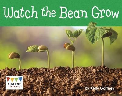Watch the Bean Grow Badger Learning