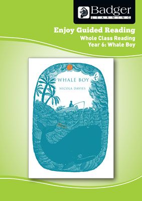 Enjoy Whole Class Guided Reading: Whale Boy Teacher Book Badger Learning