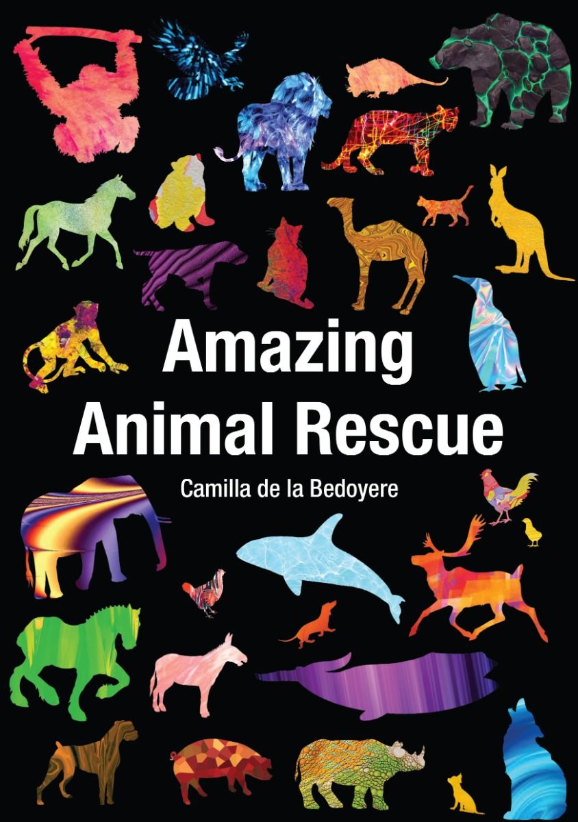 Amazing Animal Rescue Badger Learning