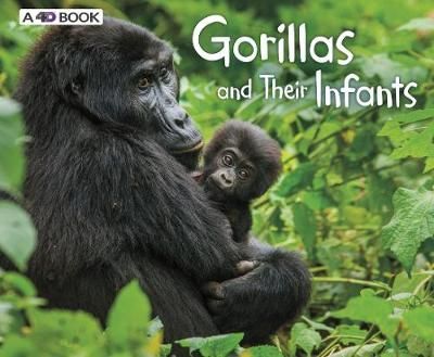 Gorillas & Their Infants