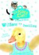 Dr KittyCat: Willow the Duckling