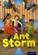 Ant Storm