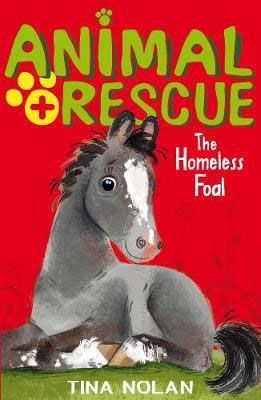 The Homeless Foal