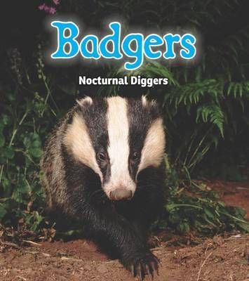 Badgers: Nocturnal Diggers