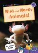 Wild & Wacky Animals
