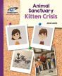 Kitten Crisis