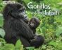 Gorillas & Their Infants