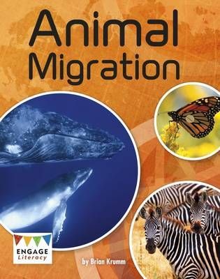 Animal Migration by Brian Krumm | Buy Online at Badger Learning