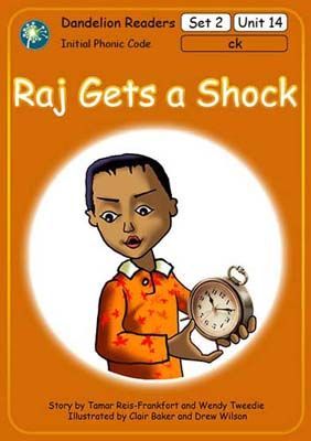 Raj Gets a Shock