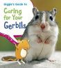 Caring for Your Gerbils (Giggle's Guide to)