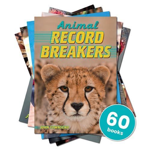 Badger Accelerated Reader Bumper Non-Fiction Collection - Levels 3.6-6.4 for Secondary