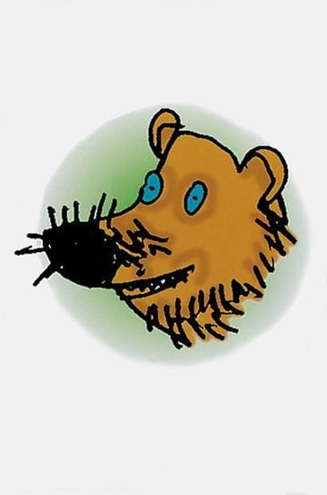 Read Write Inc Fresh Start Teaching Resources (SS035W) | Badger Learning