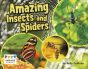 Amazing Insects & Spiders
