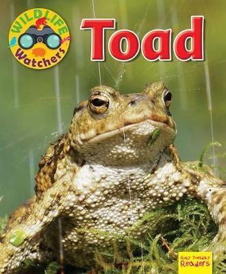 Wildlife Watchers: Toad