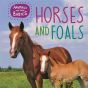 Horses & foals
