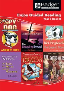 Enjoy Guided Reading Year 5 Book B Teacher Book & CD