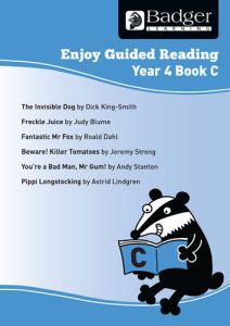 Enjoy Guided Reading Year 4 Book C Teacher Book