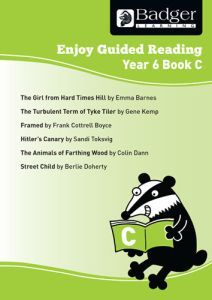 Enjoy Guided Reading Year 6 Book C Teacher Book