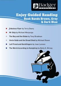 Enjoy Guided Reading KS2 Book Bands: Year 4 Brown, Grey & Dark Blue Teacher Book