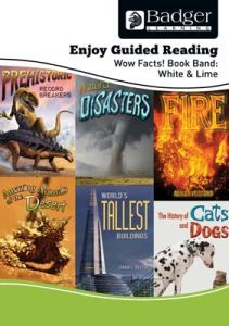 Enjoy Guided Reading Non-Fiction White and Lime Level Teacher Book