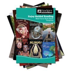 Enjoy Guided Reading Non-Fiction for KS2 Turquoise Book Band Pack