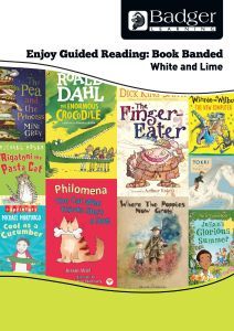 Enjoy Guided Reading Book Band - White and Lime Teacher Book