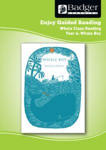 Enjoy Whole Class Guided Reading: Whale Boy Teacher Book