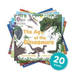 Big Cat Phonics for Little Wandle Foundation Phase 1 — 20 Book Pack